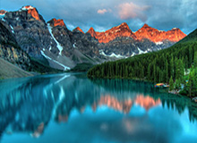 莫兰特复出献两双杰克逊24分5封盖 灰熊大胜雄鹿